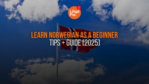 How To Learn Norwegian As A Beginner: Tips + Guide [2025]
