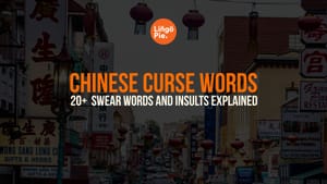 20+ Chinese Curse Words And Meanings Explained [2025]