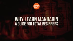 10 Compelling Reasons to Learn Mandarin This Year