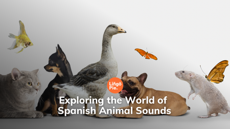 Exploring the World of Spanish Animal Sounds