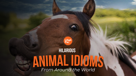 13 Hilarious Animal Idioms From Around the World