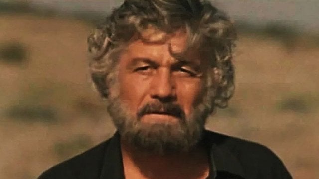 Nas Ne Nuzhno Zhalet' - Mihai Volontir