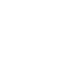 lingopie-logo